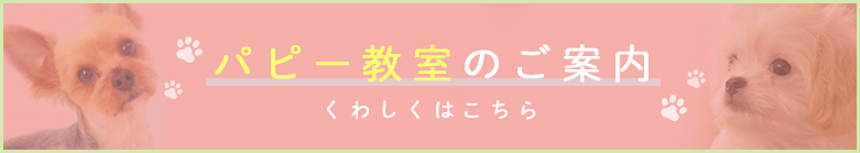 パピー教室のご案内