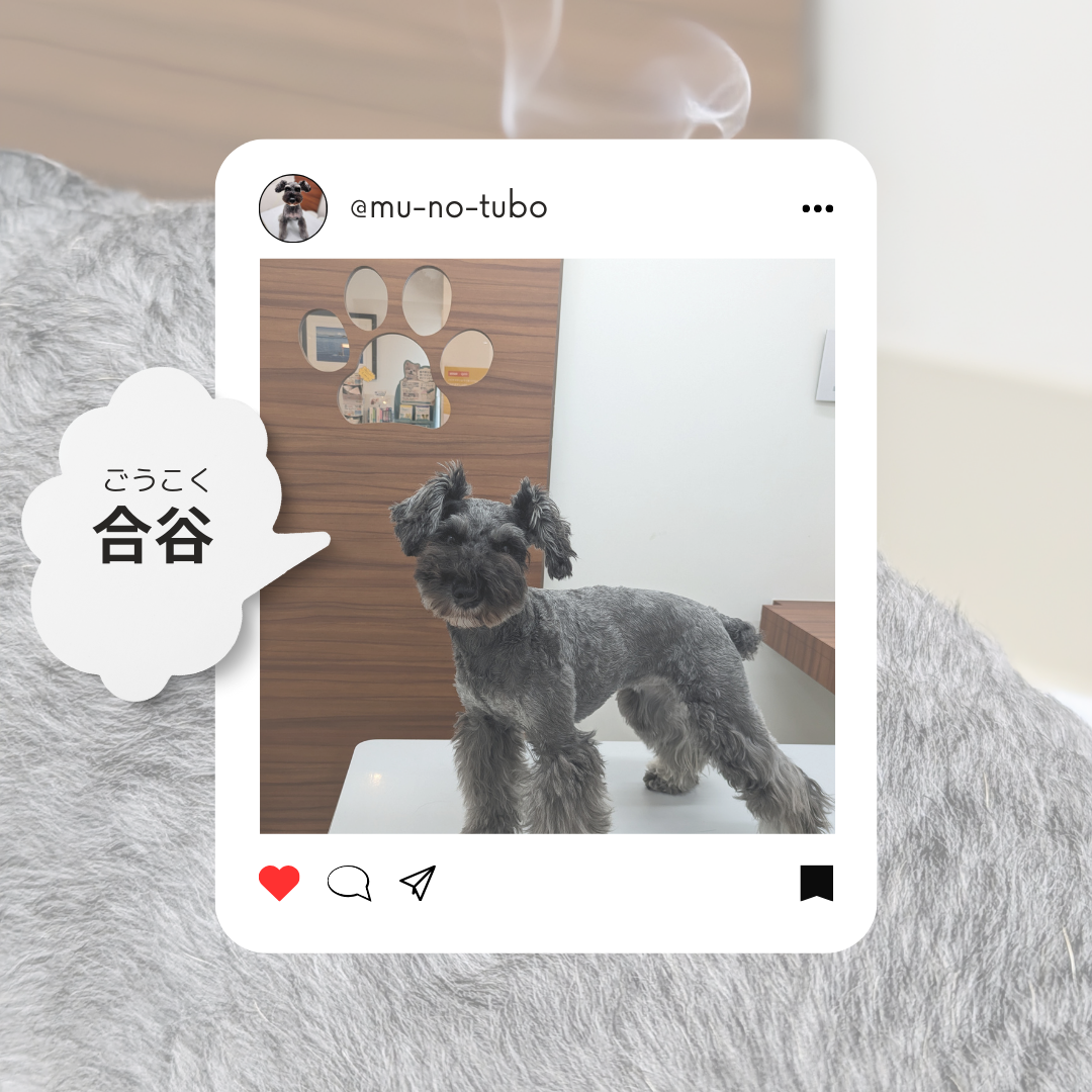 からだのバランスを整える【合谷(ごうこく)】