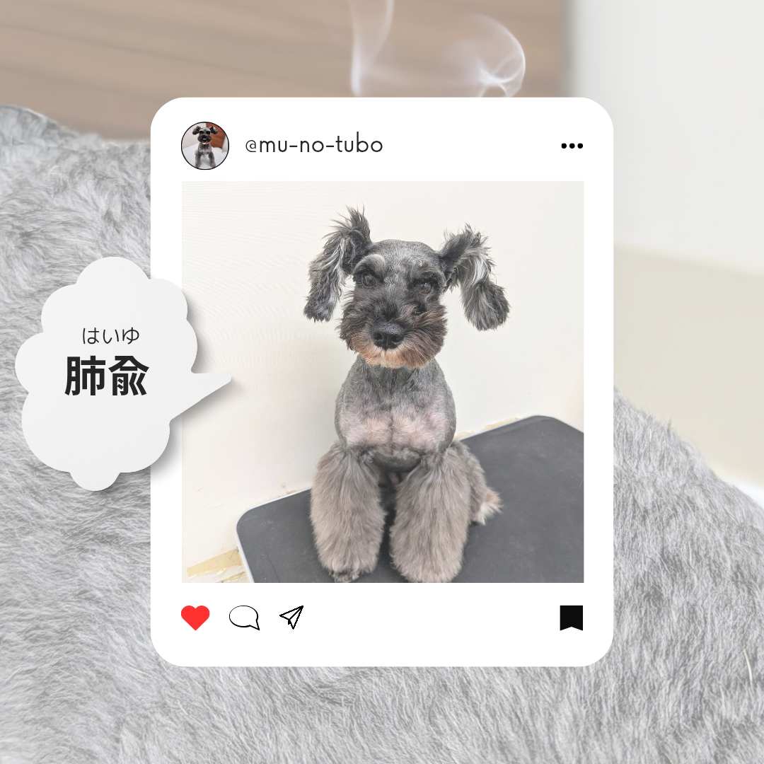 肺のエネルギーを補うツボ『肺兪(はいゆ)』