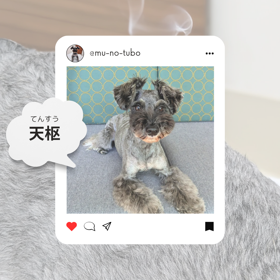 胃腸機能を整える【天枢(てんすう)】