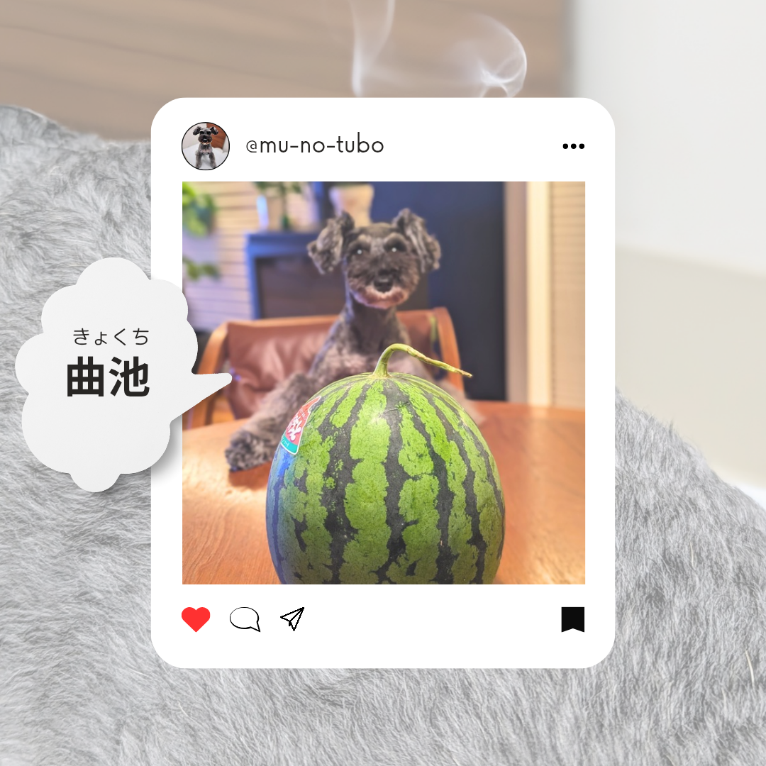 からだの余分な熱をとる【曲池(きょくち)】