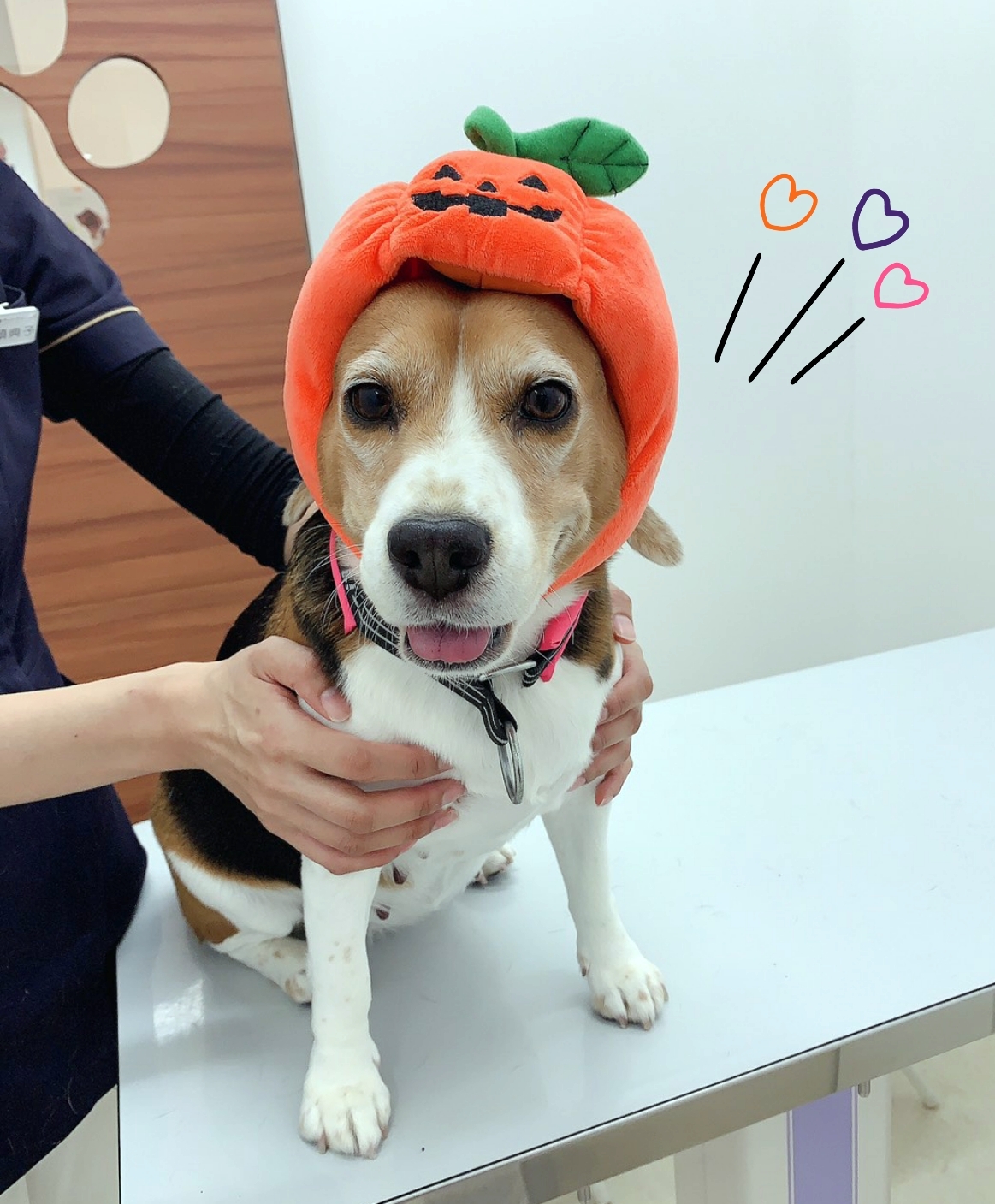 さくらこ