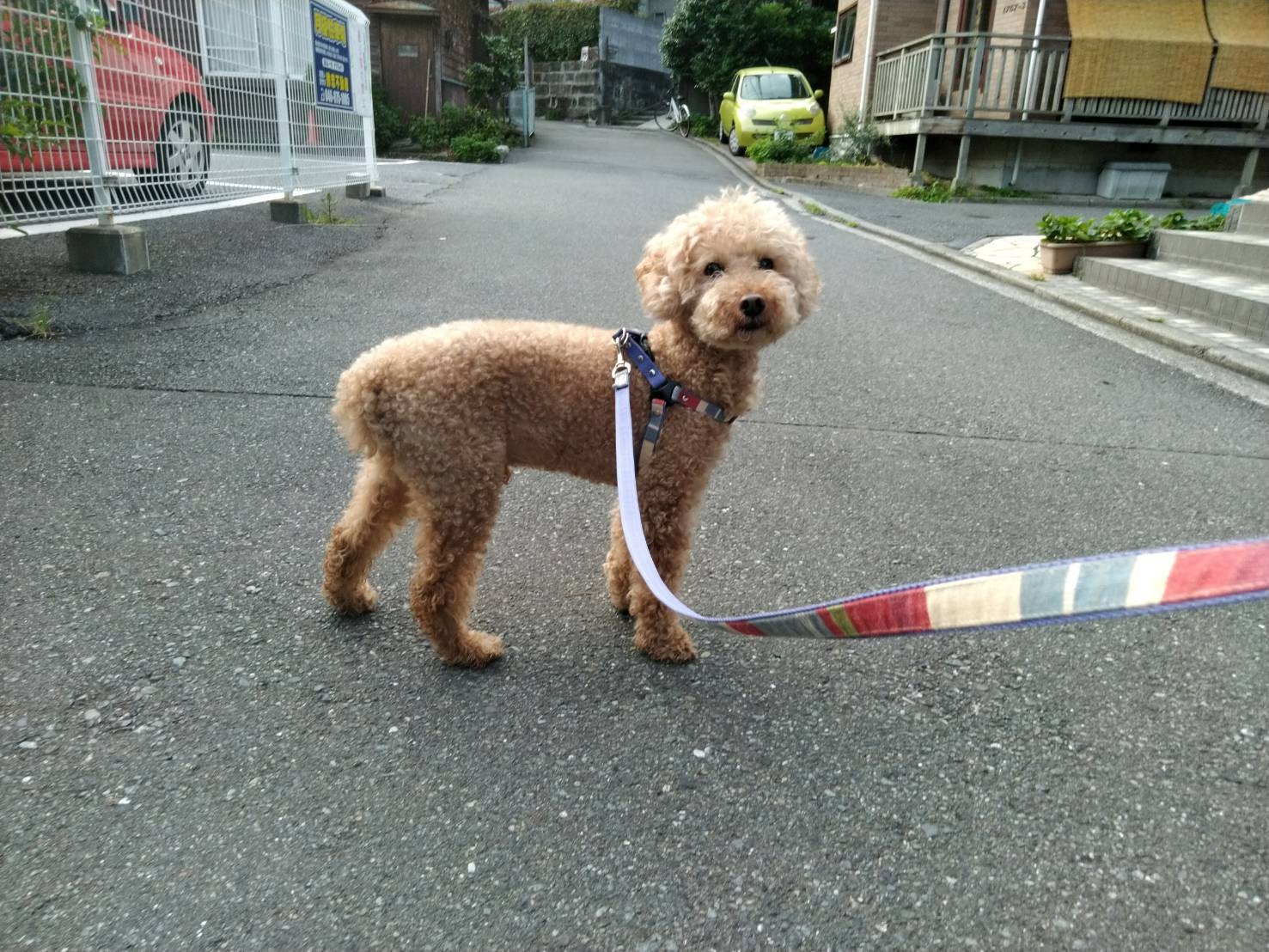 シュー