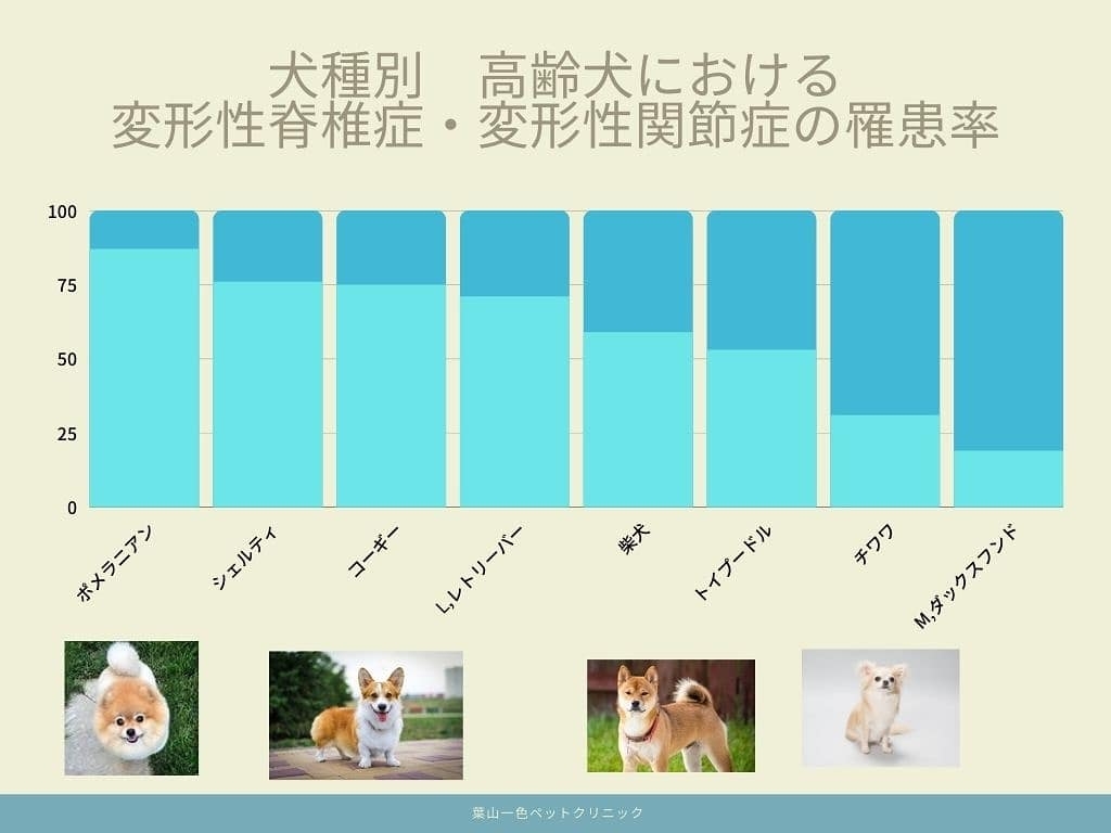 運動器疾患