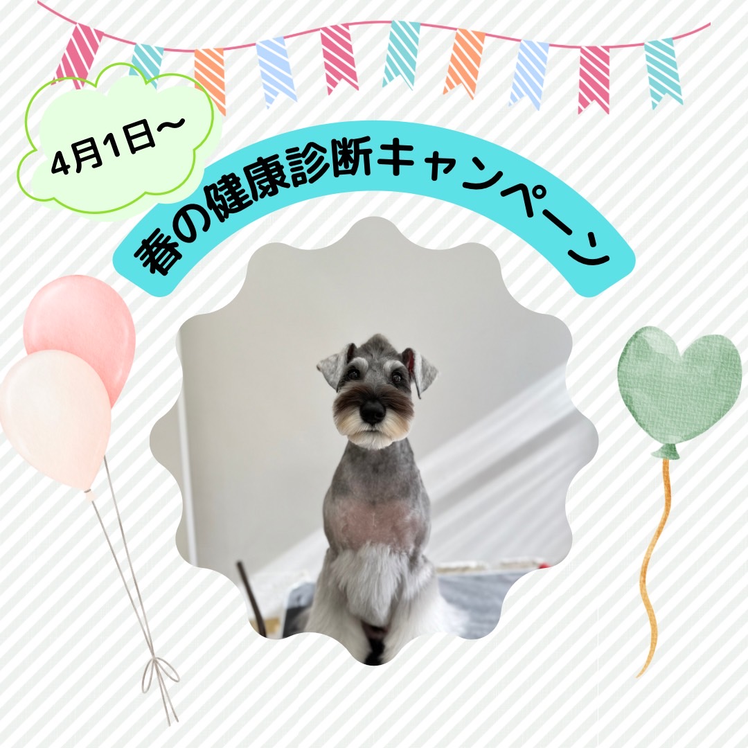 【春の予防キャンペーン】のお知らせ