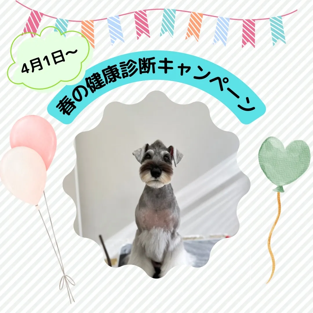 【春の予防キャンペーン】のお知らせ
