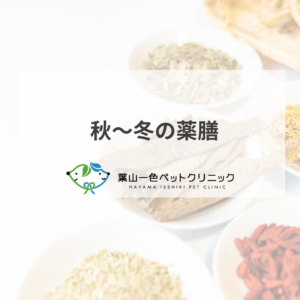 秋~冬の薬膳【蓮根】