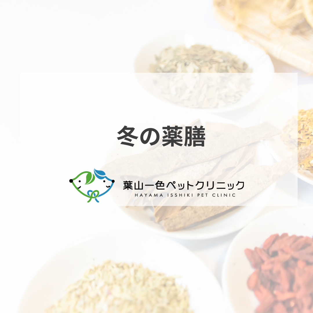 冬の薬膳【山芋】