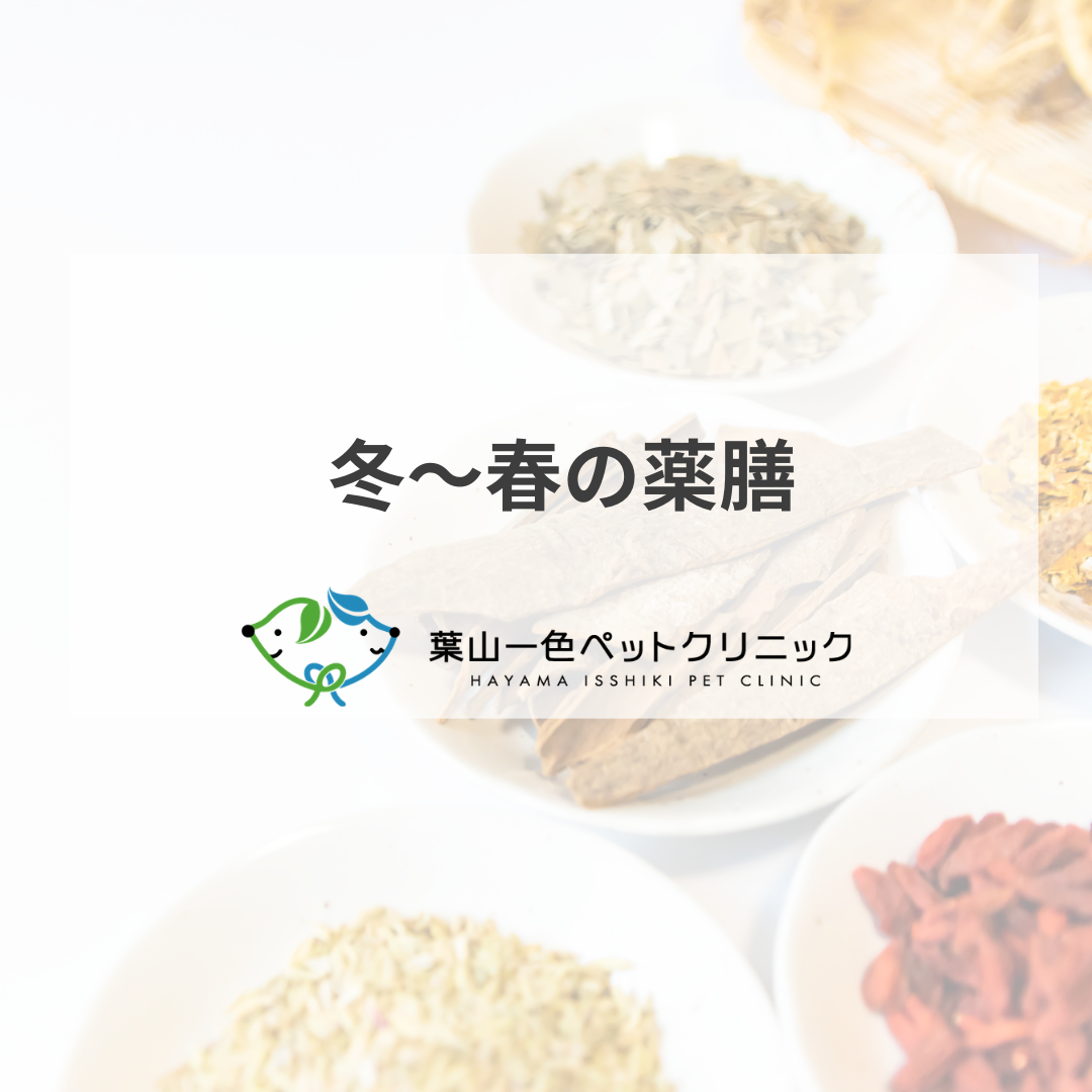 冬～春の薬膳【菜の花】