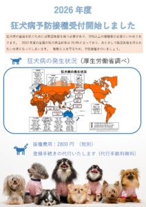 3/2～　2026年度の狂犬病予防接種が可能です
