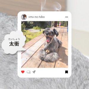 気の巡りを良くする【太衝】