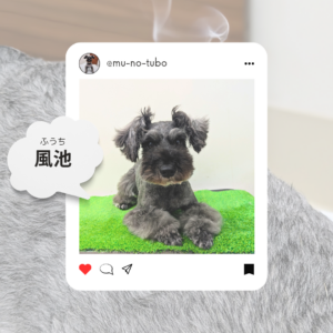 目の疲れから肩こりまで【風池（ふうち）】