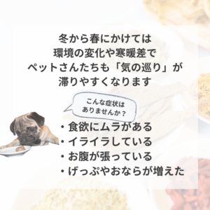 冬～春の薬膳【菜の花】