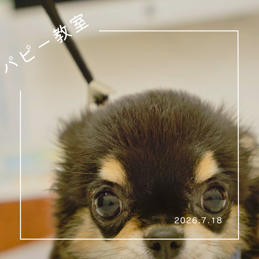 2026.7.18  パピー教室
