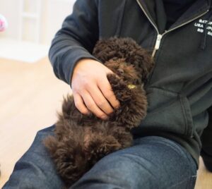 2026.1.10　パピー教室