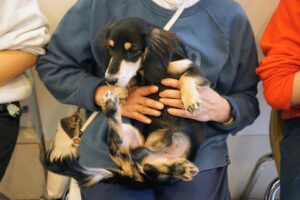 2026.1.17 パピー教室