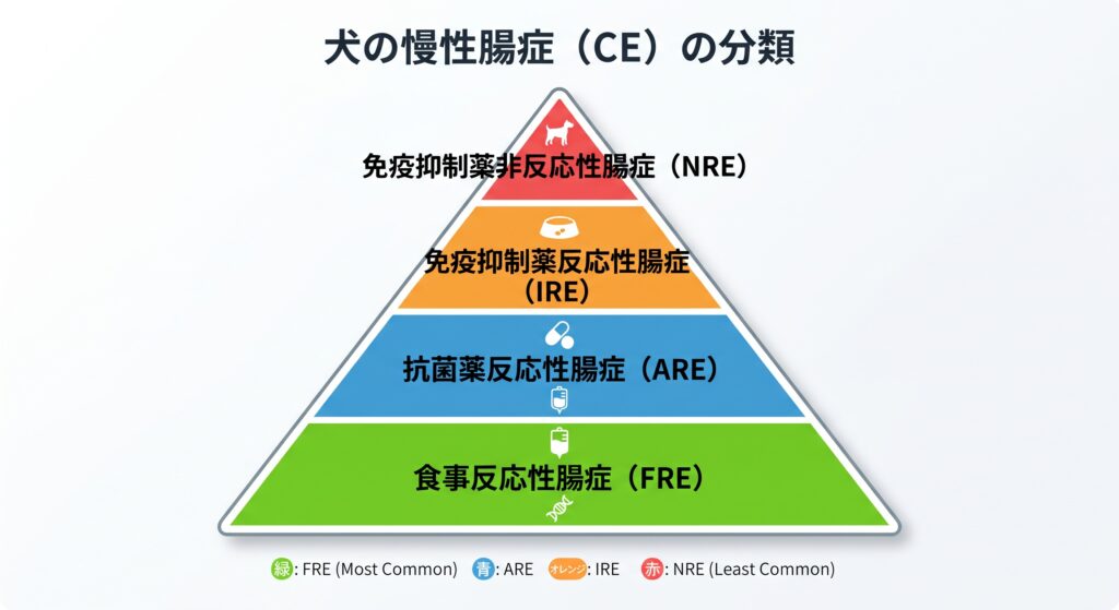 【消化器コラム 第2回】長引く下痢の正体とは？犬の慢性腸症（CE）への理解