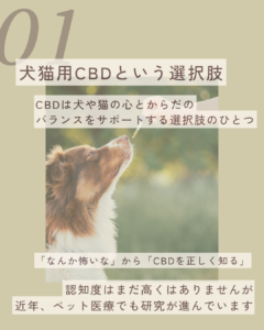 2026.8.11　　犬猫用CBDという選択肢