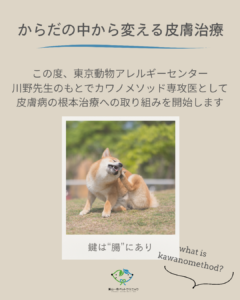 からだの中から変える皮膚治療～カワノメソッド